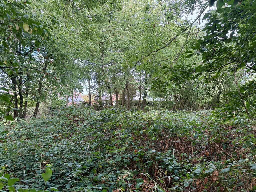 Lot: 2 - FREEHOLD LAND MEASURING APPROX 4.85 ACRES - View of land looking towards houses